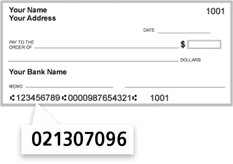 021307096 routing number on Delaware Natl BK of Delhi check