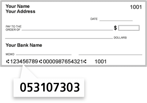 053107303 routing number on Townebank check