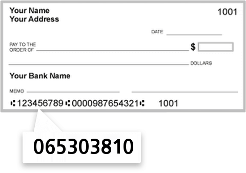 065303810 routing number on Richton BK TR CO check