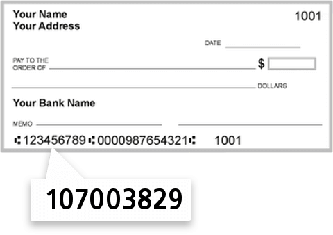 107003829 routing number on First National Bank of Fleming check