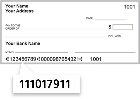 111017911 routing number on American National Bank check
