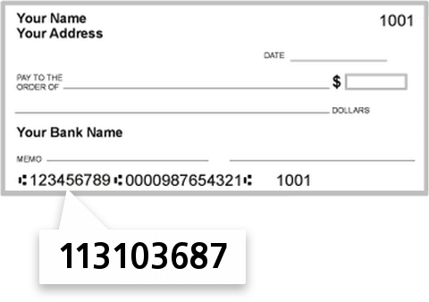 113103687 routing number on First National Bank check