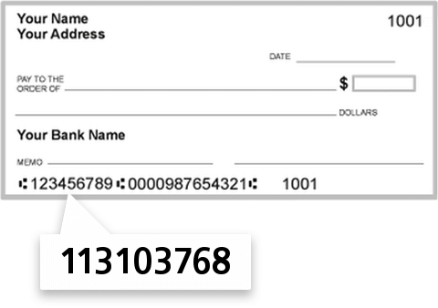 113103768 routing number on Seaport Bank check