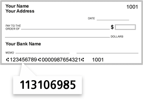 113106985 routing number on Spirit of Texas Bank SSB check
