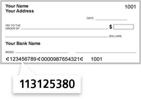 113125380 routing number on Pioneer Bank SSB check