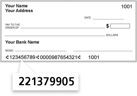 221379905 routing number on Sidney FCU check