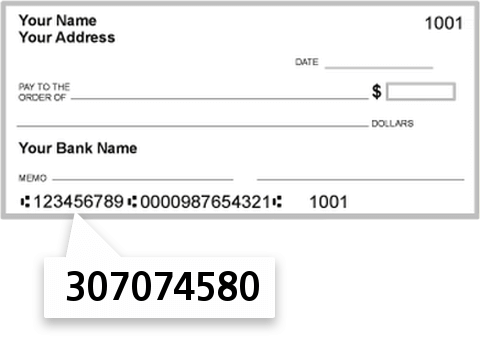 307074580 routing number on Elevations Credit Union check