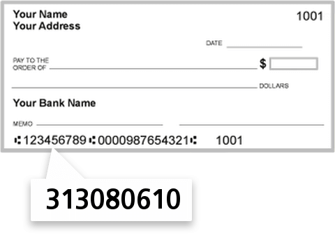 313080610 routing number on Lubrizol EMP C U check